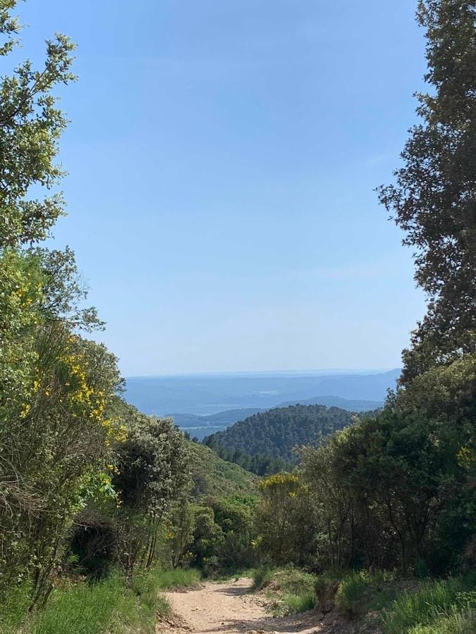 Le Cabanon De Livia Avec Piscine Privee Villa Cucuron Bagian luar foto